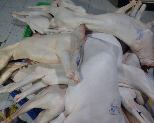 thịt dê tươi